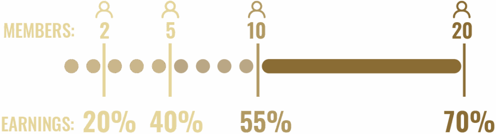 Affiliate revenue share chart
